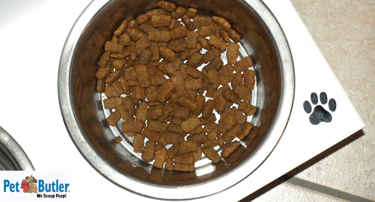 perfect portions dog food