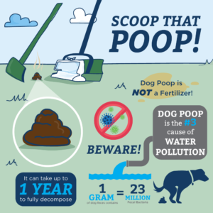 The importance of picking up pet waste - image