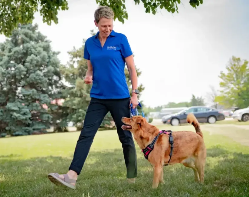 Kelly Amundson, owner of Pet Butler Rochester, walking a dog across a green lawn on a sunny day