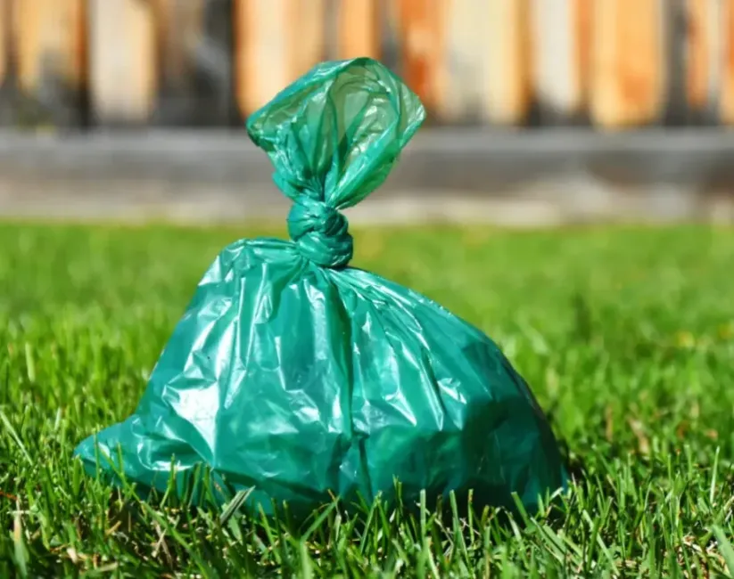 Small green plastic bag tied closed with a know sitting on the grass.