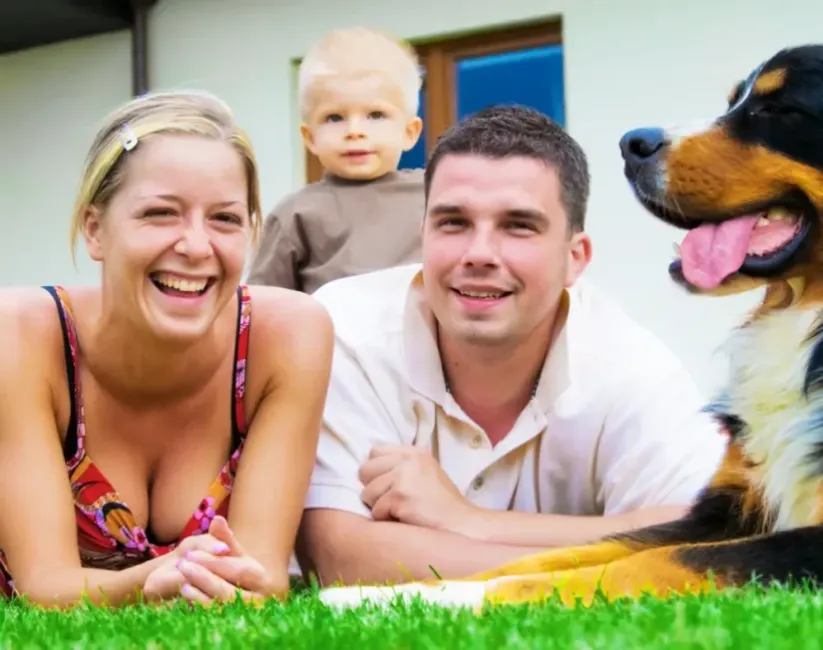 A smiling woman and man lying in the grass with a toddler behind them and a large dog next to them.