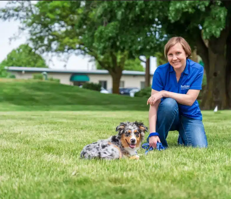 Pet Butler Naperville IL local manager sitting in the green grass with a dog while on a walk on a sunny day