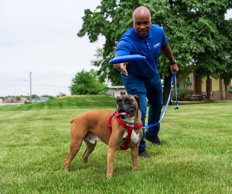 Robin Connell, owner of Pet Butler in Renton WA, seen outside with a dog throwing a frisbee on the grass on a sunny day