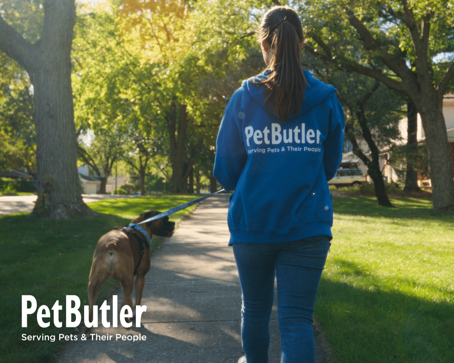 Dog walking blog images