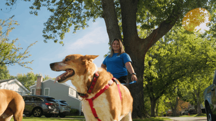 Pet Butler professional smiling while walking a dog during pet care service.