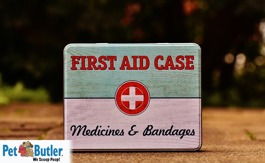 pets first aid kit