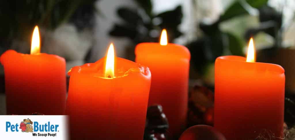 are scented candles safe for dogs