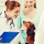 heartworm disease in dogs