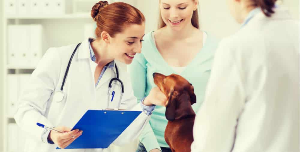 heartworm disease in dogs