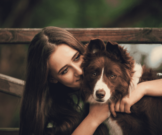 woman-hugging-a-brown-and-white-Border-Collie-dog