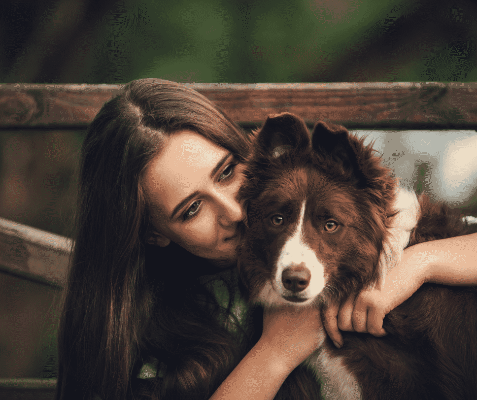 woman-hugging-a-brown-and-white-Border-Collie-dog