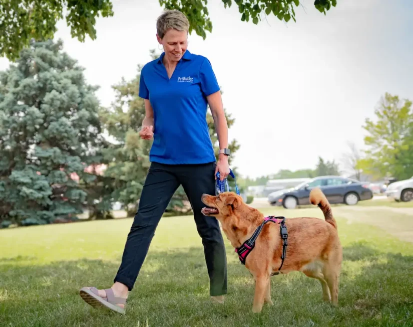 Pet Butler Rochester MN local owner walking a dog across a green lawn on a sunny day. Dog Walking - Pet Care Services - Dog Walker