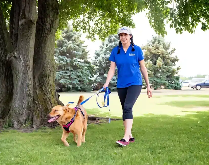 Jordan Dalton, owner of Pet Butler of Longmont, provided top-notch pet care.