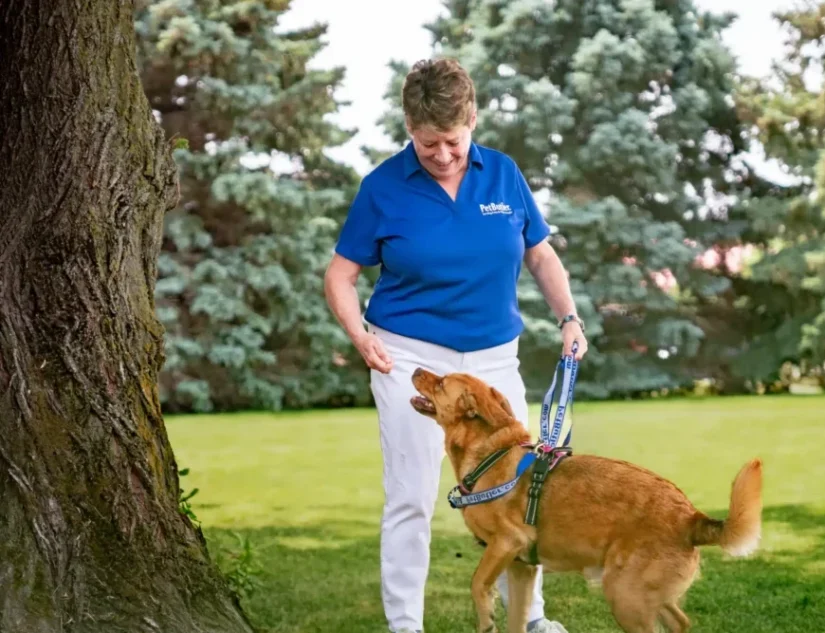 Rosemarie Richardson, owner of Pet Butler Chadds Ford PA, is posing with a dog while on a walk on a sunny day