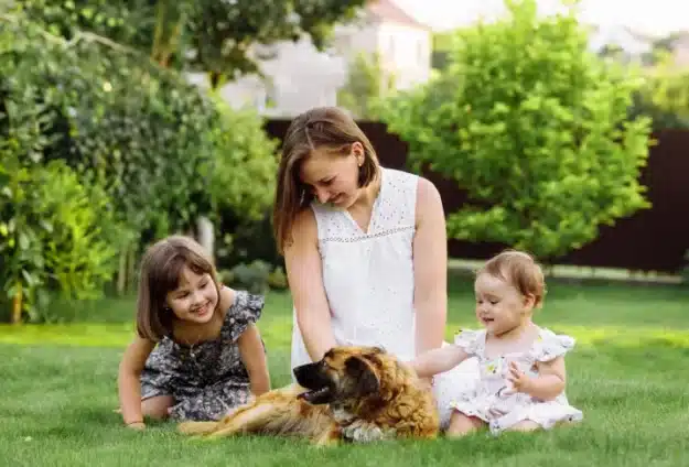 Woman sitting in the grass with a toddler girl and baby girl and petting a dog.