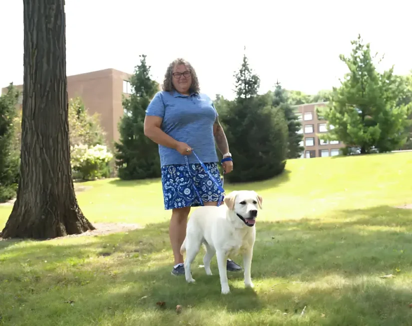Lansing Pet Butler owner walking a yellow lab through a park on a sunny summer day