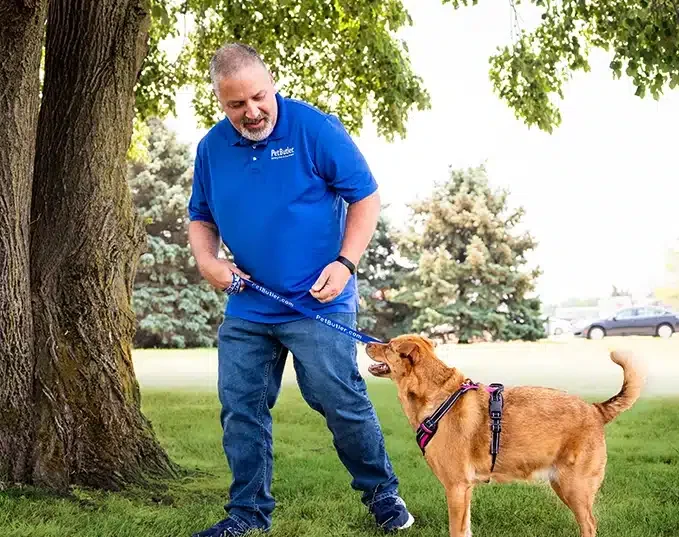 Cary NC Pet Butler owner Michael Kidd walking a dog across the grass on a sunny day.