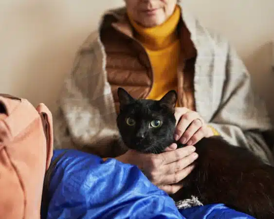 A woman sitting with a jacket on holding a black cat on her lap with bags sitting next to her. Disaster Preparedness for pets