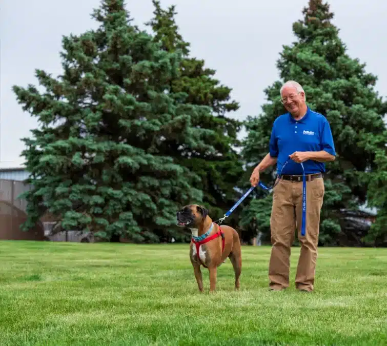 Richard Raymond, owner of Pet Butler Orange County CA, is walking a dog across the green grass on a sunny day