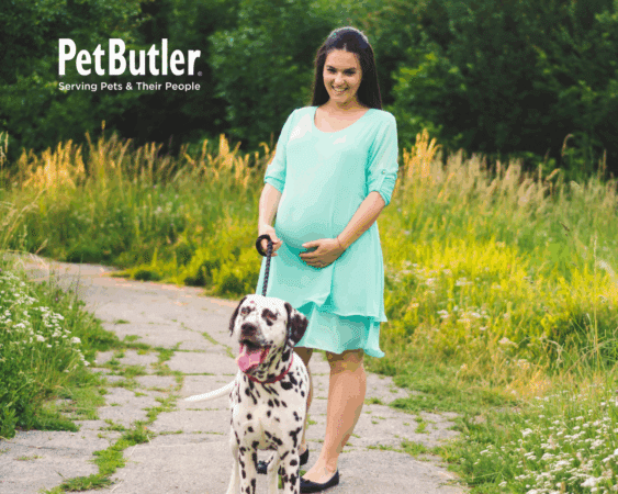 Pregnant woman walking dog