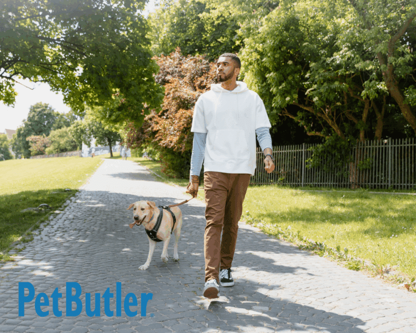 Man Walking Dog