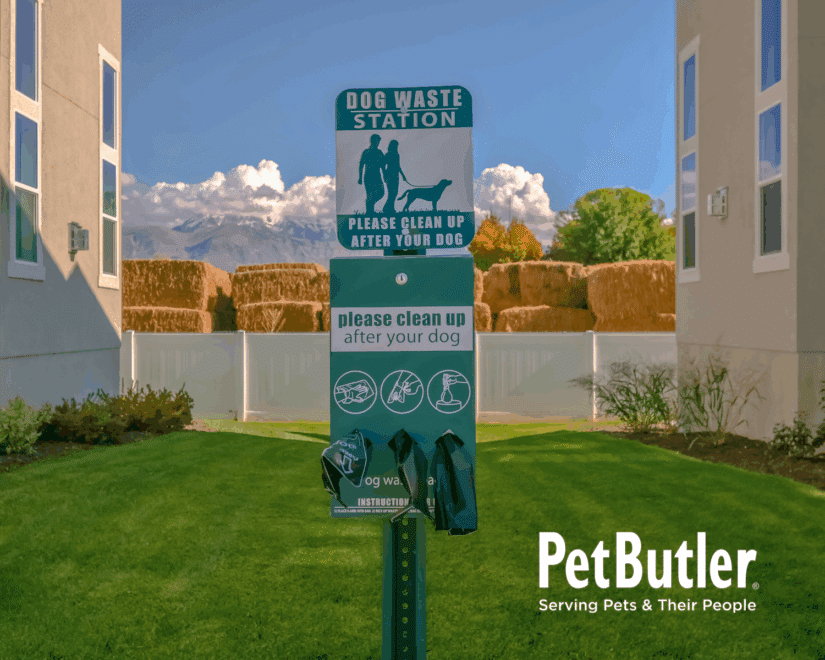 Pet Waste Station