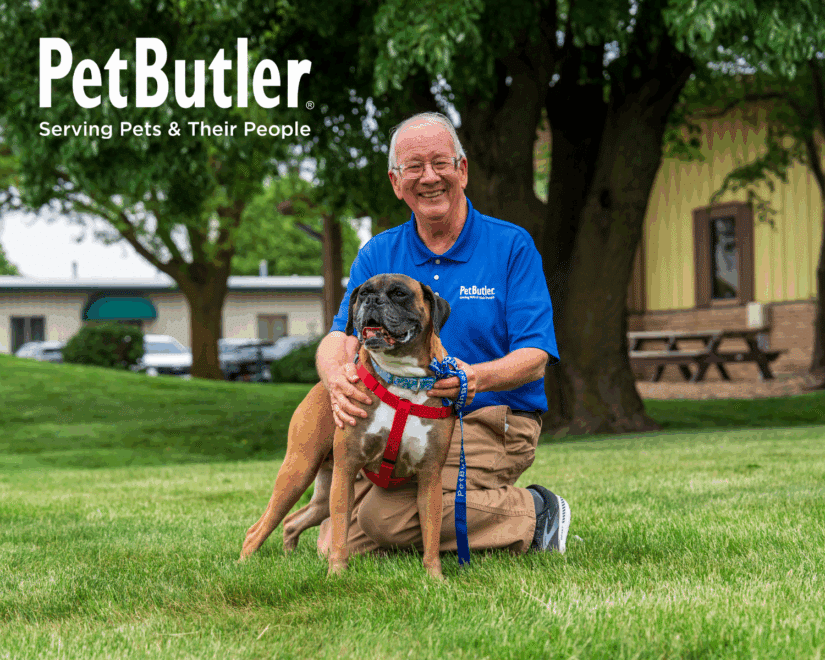 Pet care blog header image